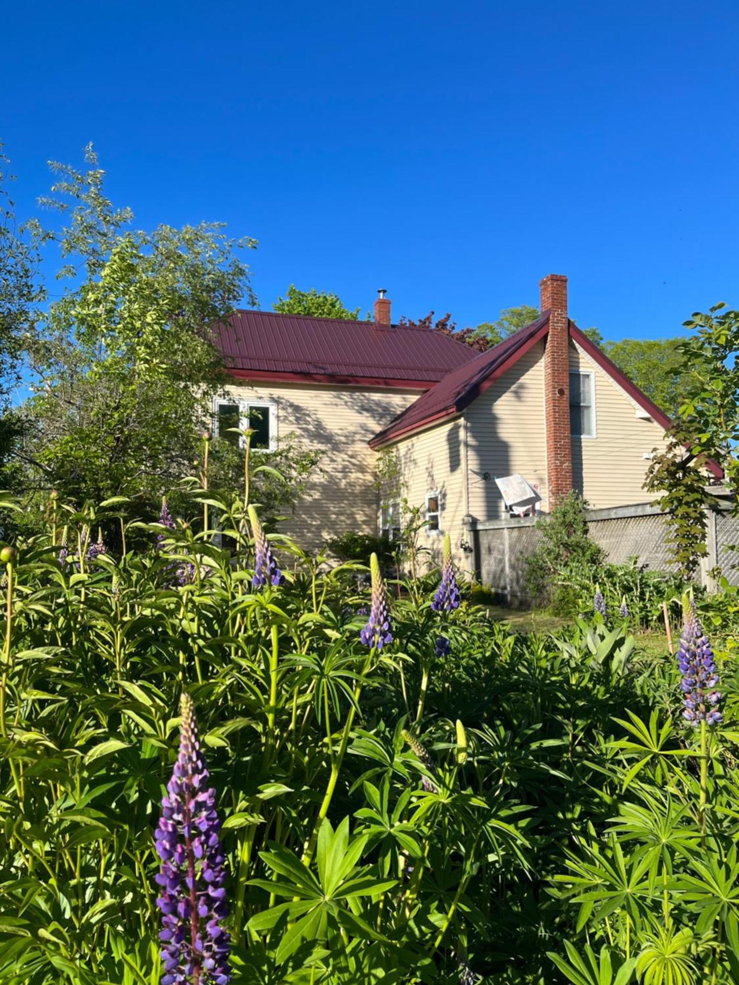 B&B Art Of Germany Caledonia Екстериор снимка